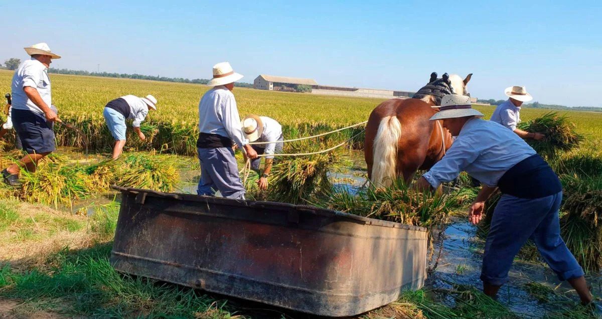 Agricultores y agricultoras trabajando en cultivos de proximidad como parte de sistemas alimentarios locales agroecológicos