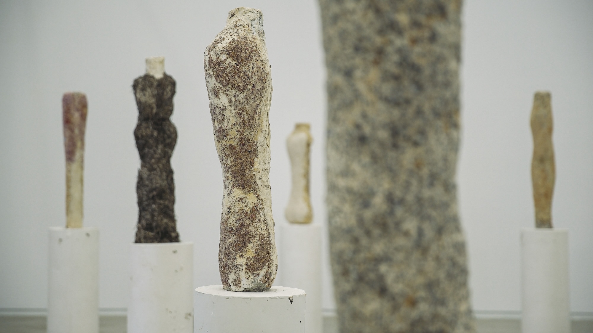 Galería audiovisual