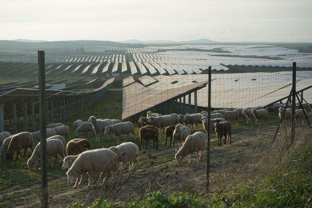 Planta fotovoltaica de Núñez de Balboa, Badajoz.