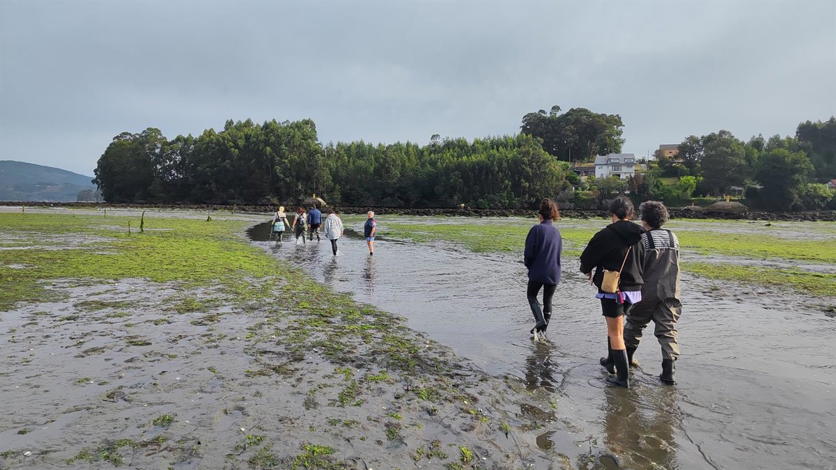 Mariscadoras a pie trabajando en la costa gallega en prácticas de marisqueo artesanal sostenible.