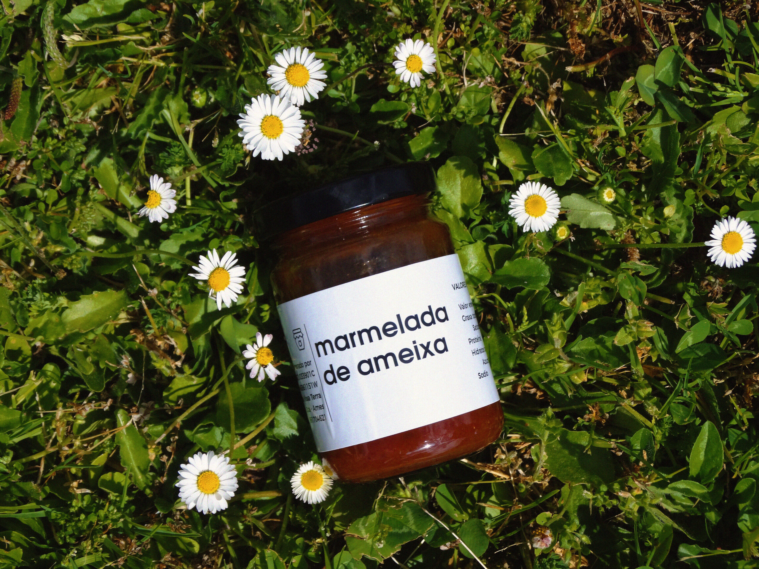 Daquidarredor local food product