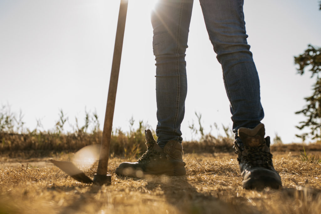 Espacio test agrario de Ponent