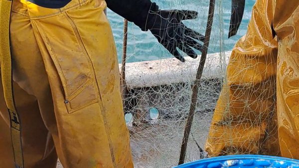 Proyecto Silvia Zayas