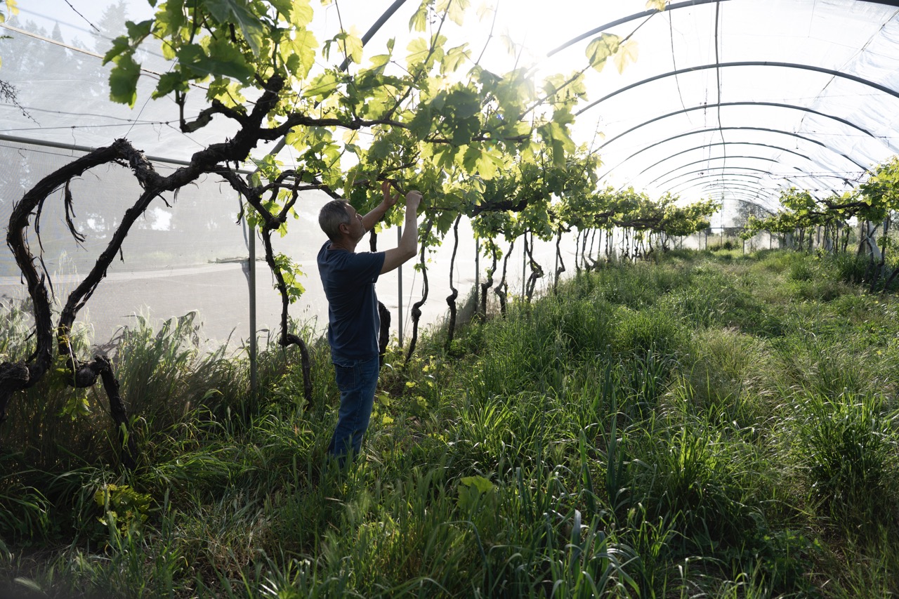 GOUVERNANCE_CARASSO GOUVERNANCE