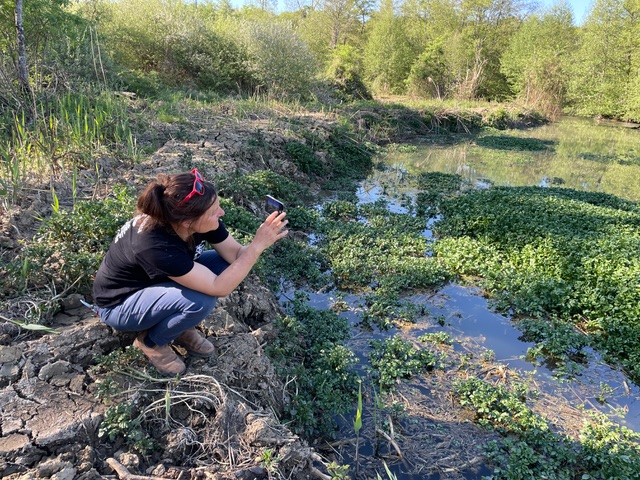 Suzanne Husky explore Saint-Amand-en-Puisaye