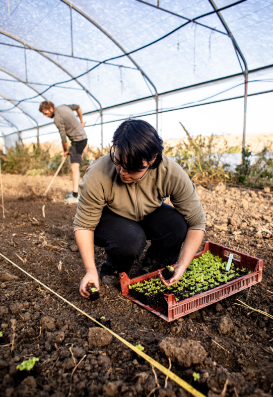 Ferme des Arbolets - Audrey Boussaoud et Benjamin Benquet © Caroline Peyronel