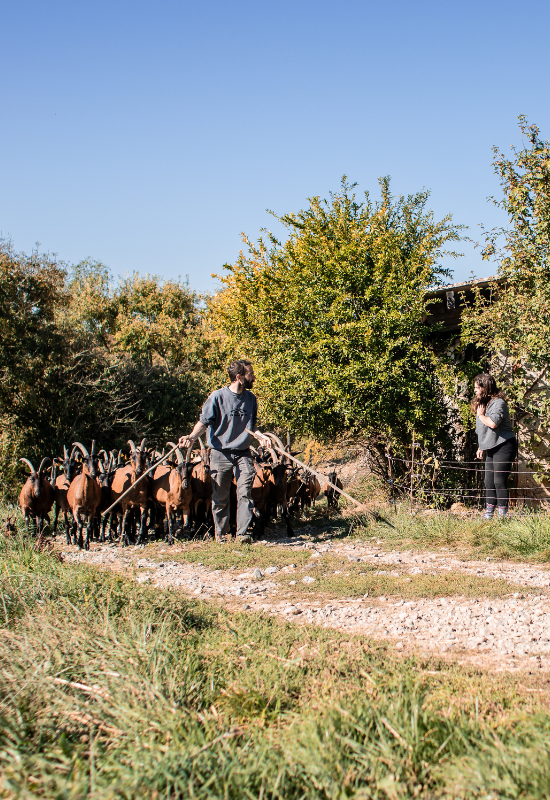 Ferme du Raguet - Romain Florent et Cindy © Caroline Peyronel