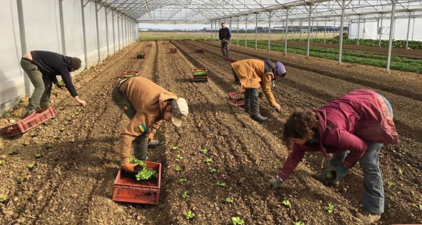 Ferme de l''Envol (Crédits Les Champs des Possibles)